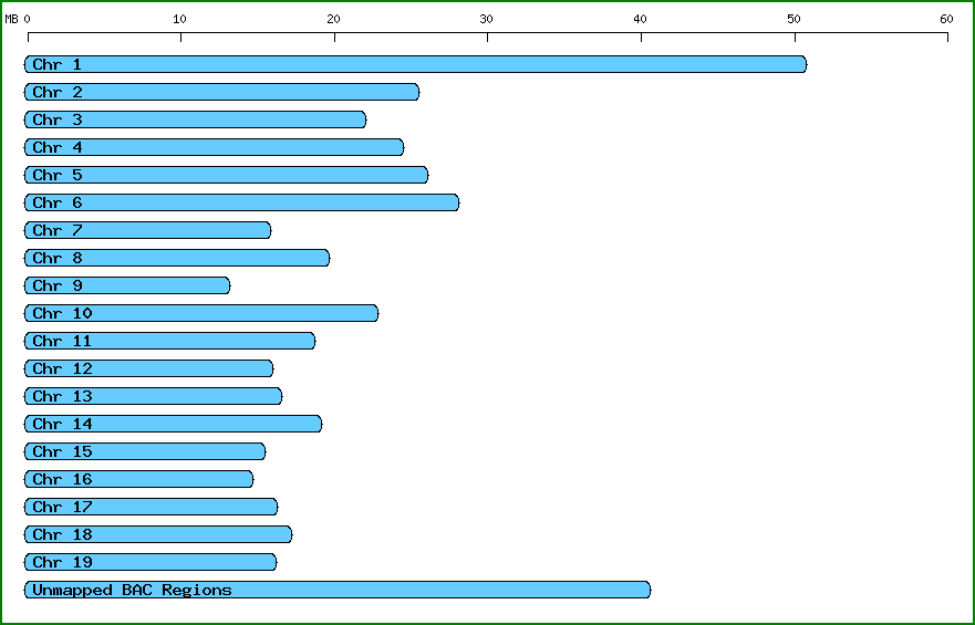 Next Gen Sequence Dbs Poplar Small Rna